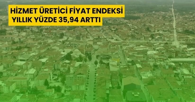 Hizmet Üretici Fiyat Endeksi yıllık yüzde 35,94 arttı