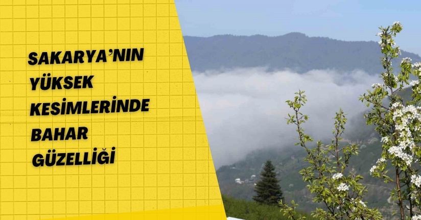 Sakarya’nın yüksek kesimlerinde bahar güzelliği