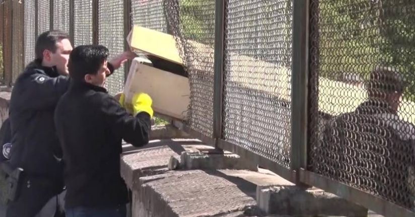 Maltepe’de ormanda erkek cesedi bulundu