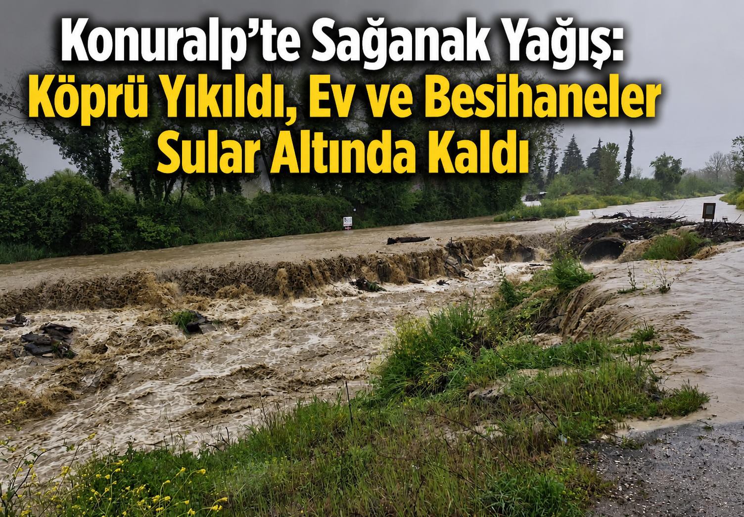 Köprü Yıkıldı, Ev ve Besihaneler Sular Altında Kaldı