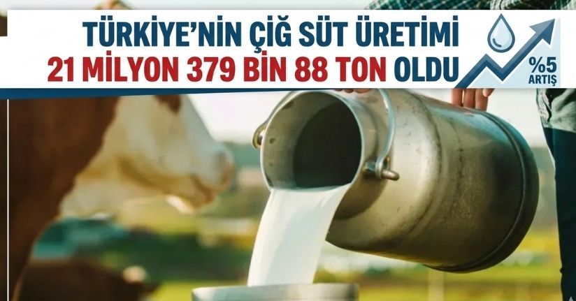 Çiğ süt üretimi 21 milyon 379 bin 88 ton oldu