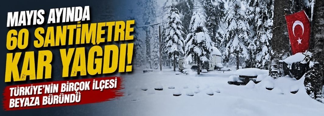 Mayıs Ayında 60 Santimetre Kar Yağdı