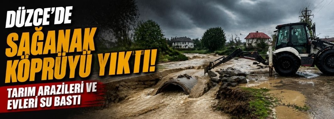 Köprü Yıkıldı, Ev ve Besihaneler Sular Altında Kaldı