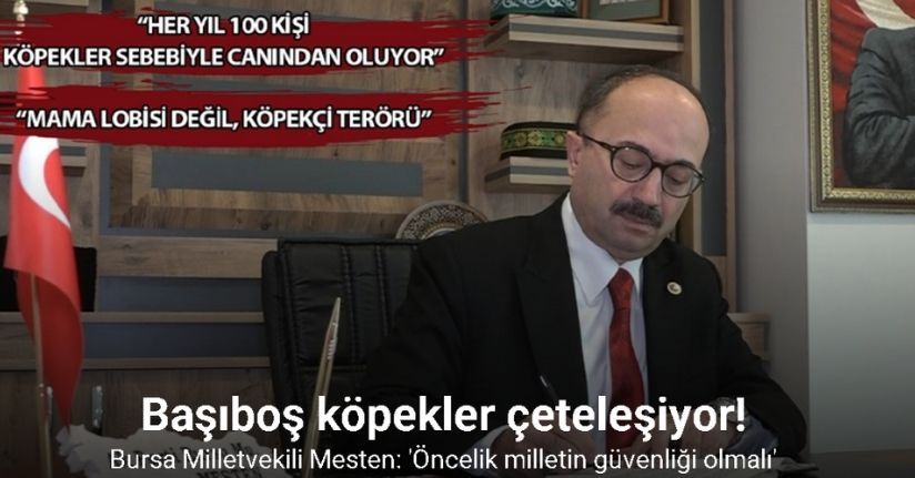 Bursa Milletvekili Mesten: 'Öncelik milletin güvenliği olmalı'