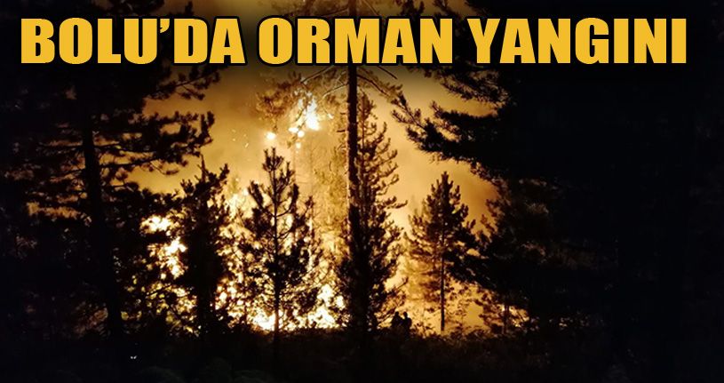 Bolu'da orman yangını: Çok sayıda ekip müdahale ediyor