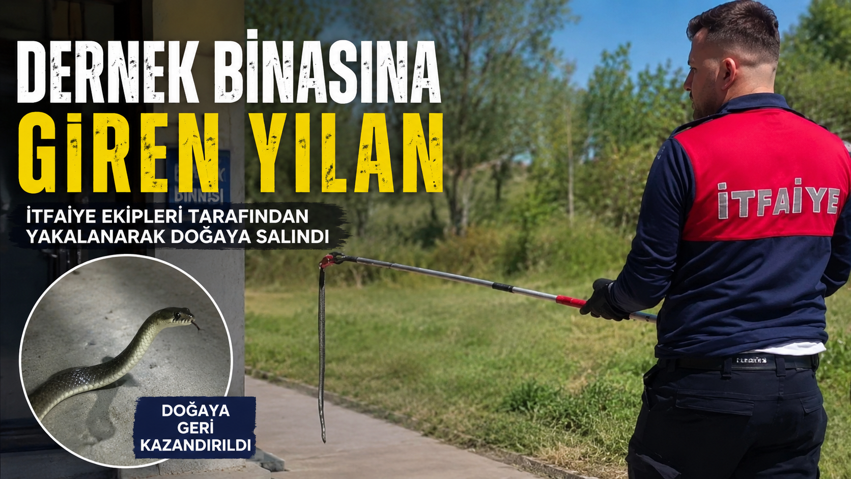 Dernek binasına giren yılanı itfaiye yakalayıp doğaya saldı