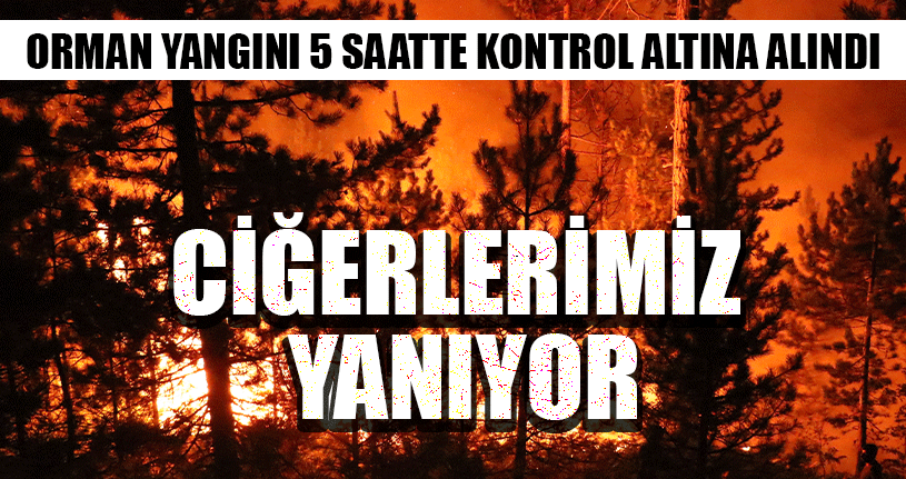 Orman Yangını 5 Saatte Kontrol Altına Alındı