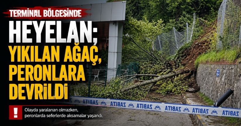Terminal bölgesinde heyelan; yıkılan ağaç, peronlara devrildi