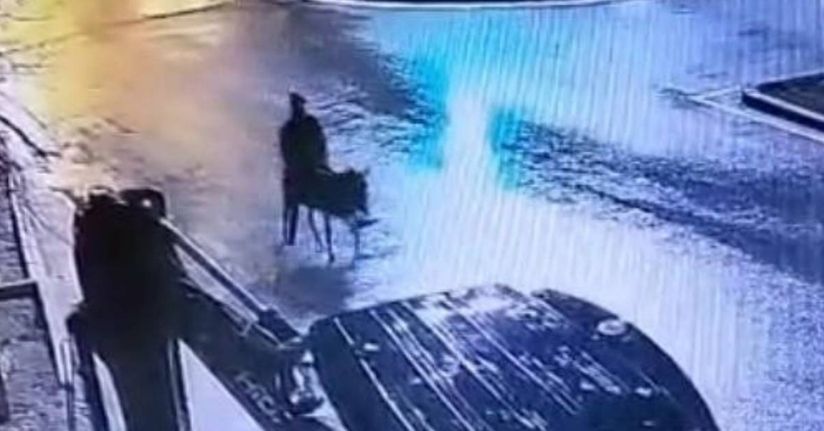 Altınları çalıp eşekle kaçan sanığa 9 yıl 7 ay hapis cezası