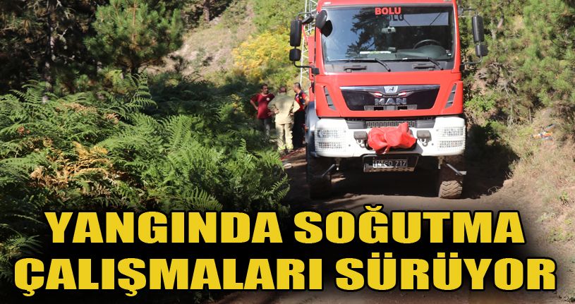 Bolu’da orman yangınında soğutma çalışması sürüyor