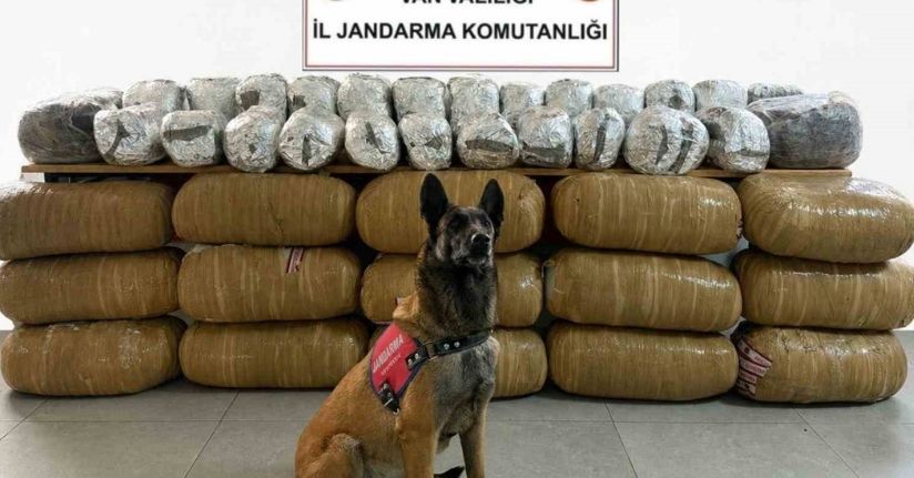 Van’da yarım tona yakın uyuşturucu ele geçirildi
