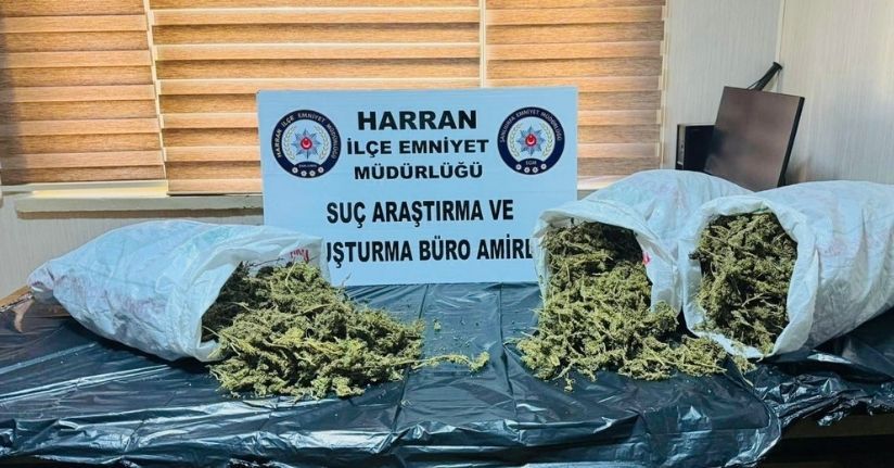 Şanlıurfa’da 8 kilo uyuşturucu ele geçirildi: 1 şahıs tutuklandı