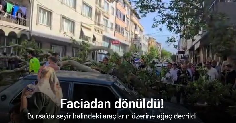 Bursa’da seyir halindeki araçların üzerine ağaç devrildi: 1 kişi yaralandı