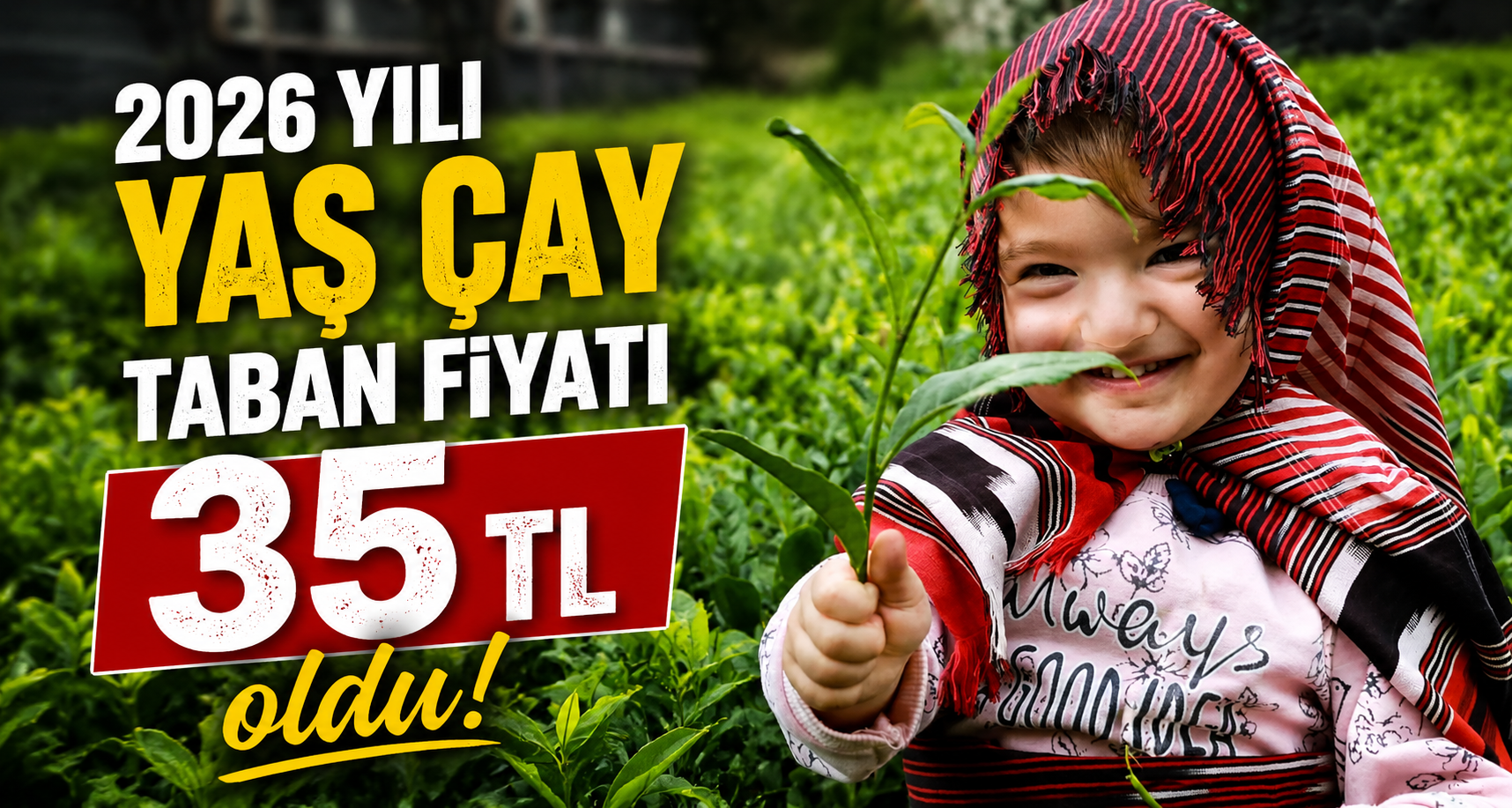 2026 yılı yaş çay taban fiyatı 35 TL oldu