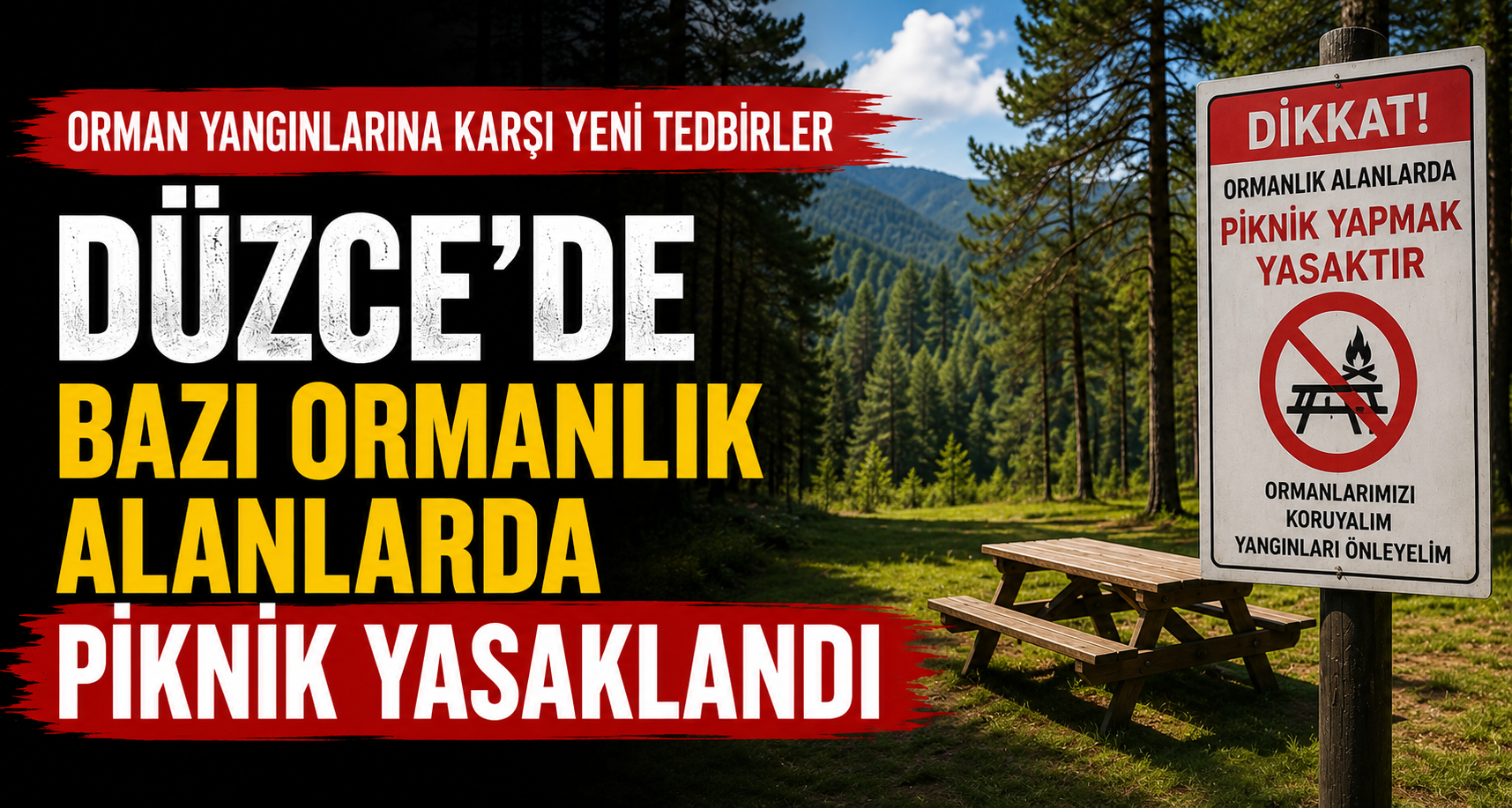 Düzce’de Bazı Ormanlık Alanlarda Piknik Yasaklandı
