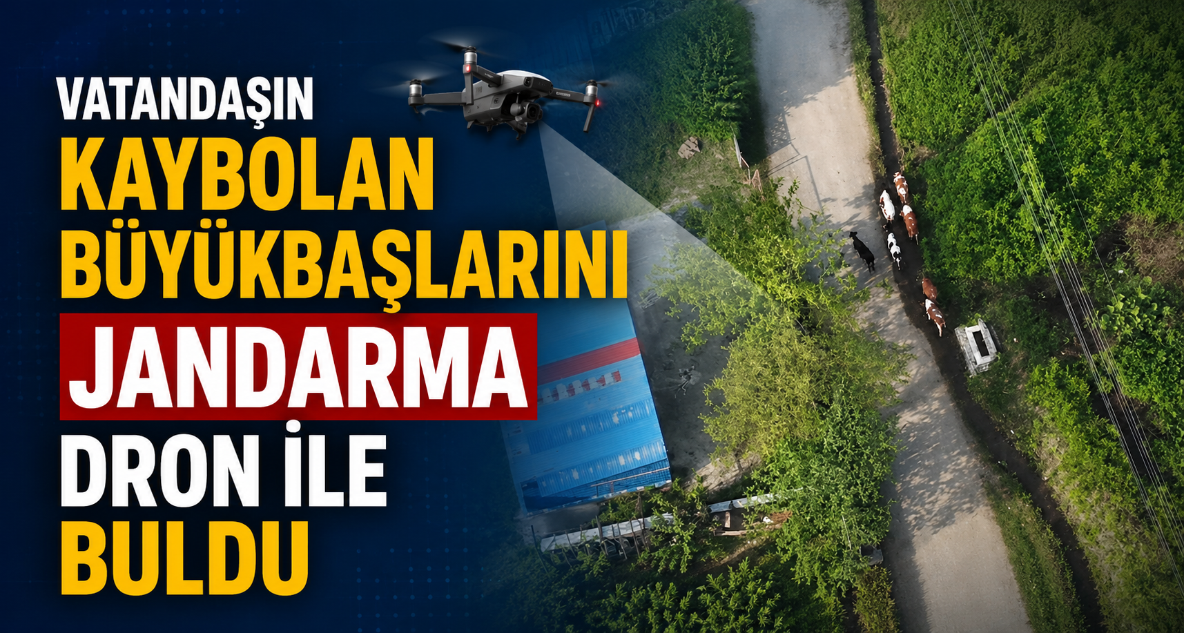 Vatandaşın kaybolan büyükbaşlarını jandarma dron ile buldu