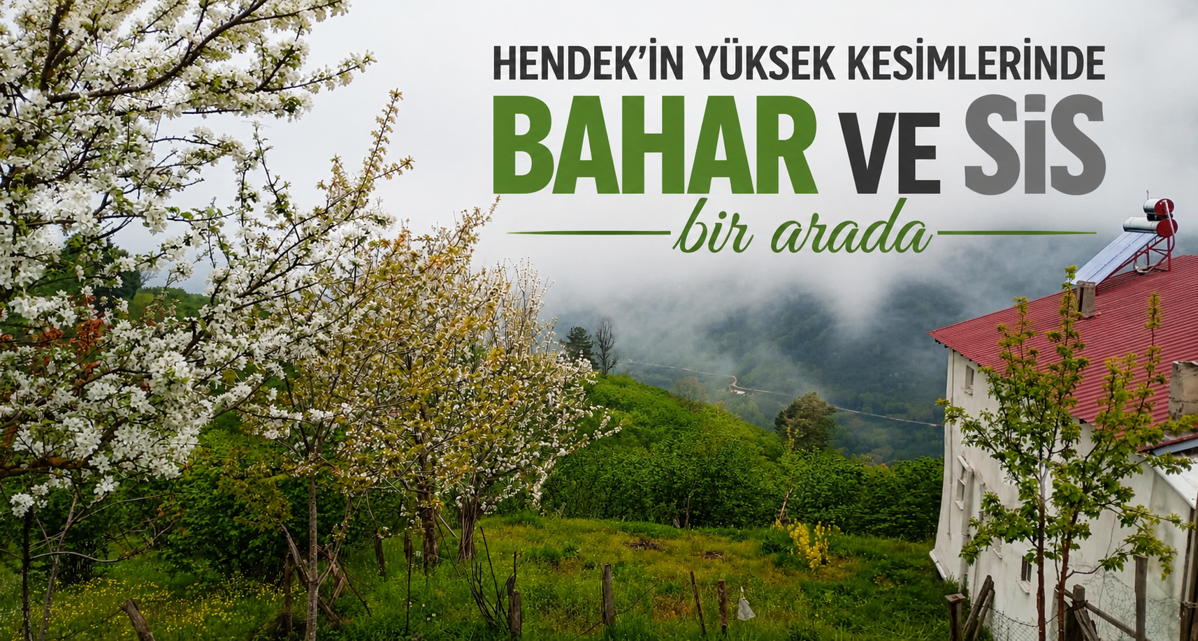 Hendek’in yüksek kesimlerinde bahar ve sis bir arada