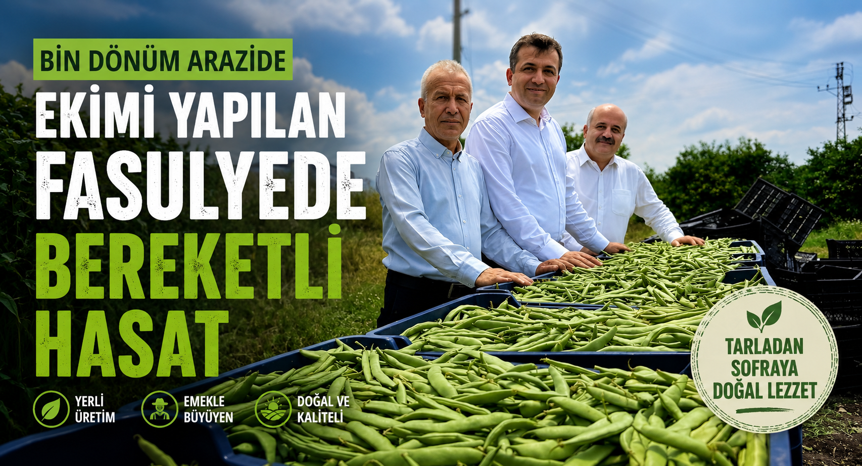Bin dönüm arazide ekimi yapılan fasulyede bereketli hasat