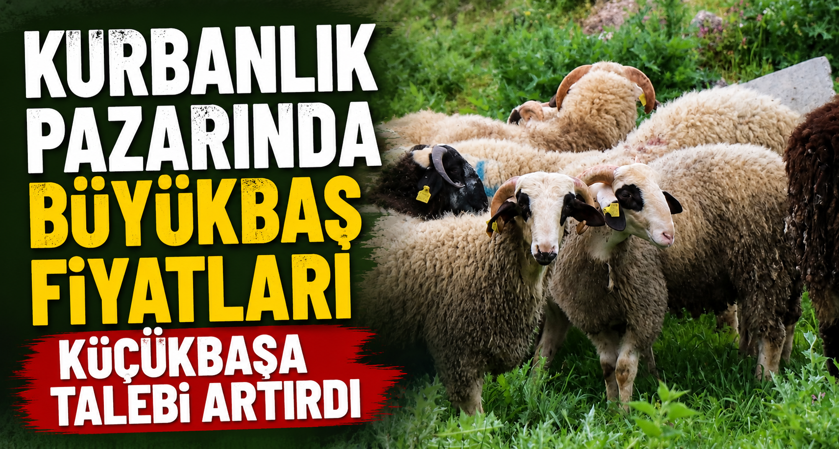 Kurbanlık Pazarında Büyükbaş Fiyatları Küçükbaşa Talebi Artırdı