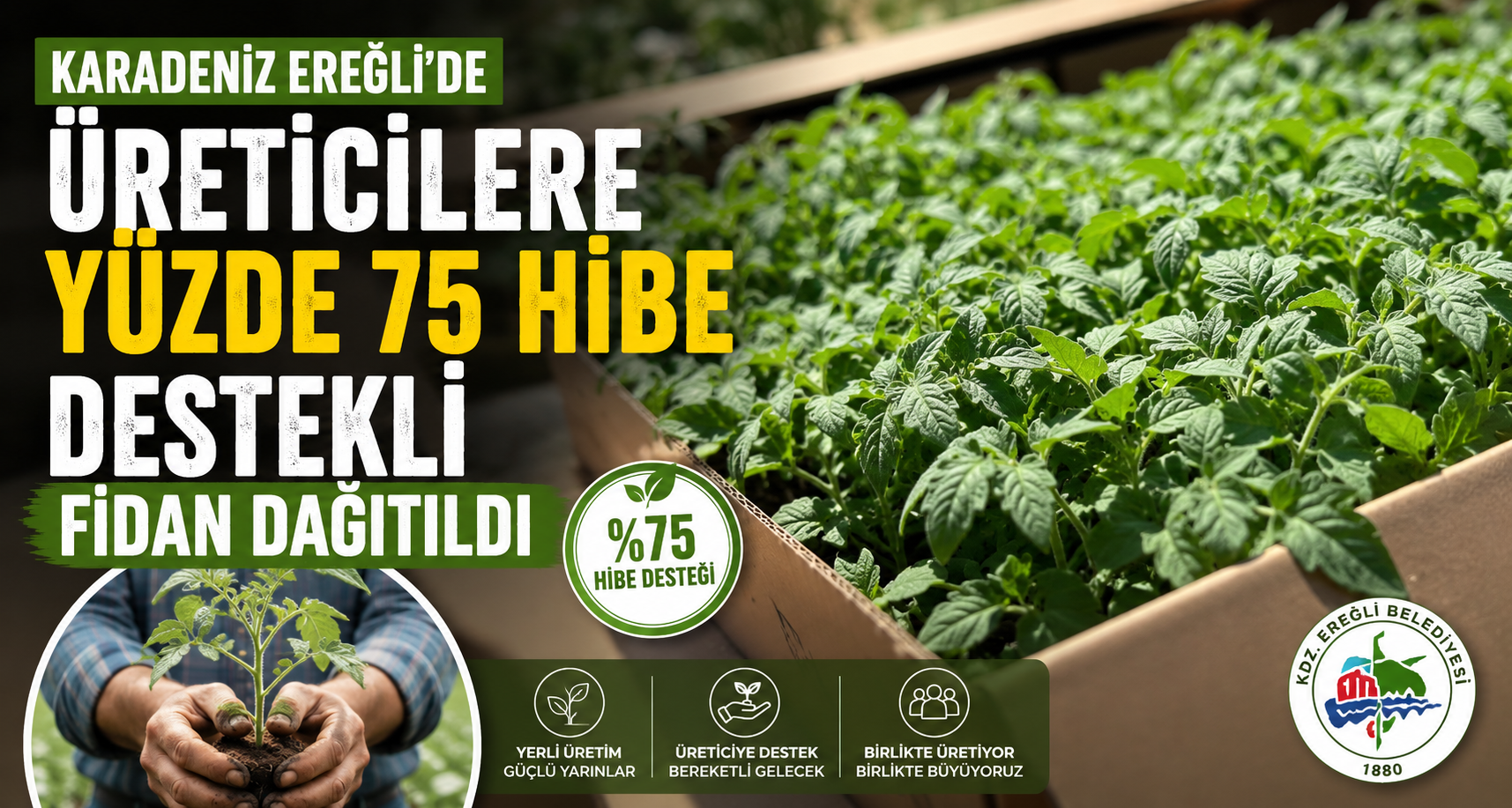 Karadeniz Ereğli’de üreticilere yüzde 75 hibe destekli fidan dağıtıldı