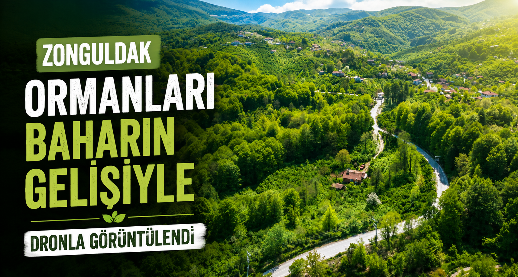 Zonguldak ormanları baharın gelişiyle dronla görüntülendi