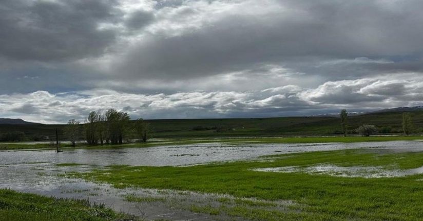 Erzincan'da aşırı yağış, ekili arazileri vurdu