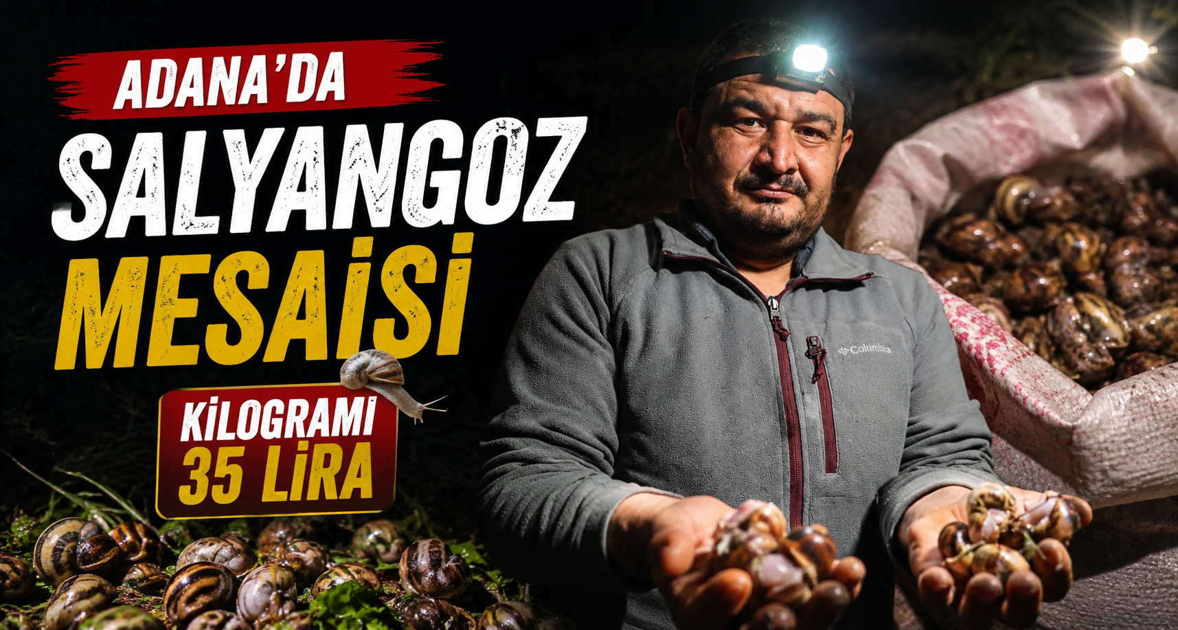 Adana’da salyangoz mesaisi: Kilogramı 35 lira