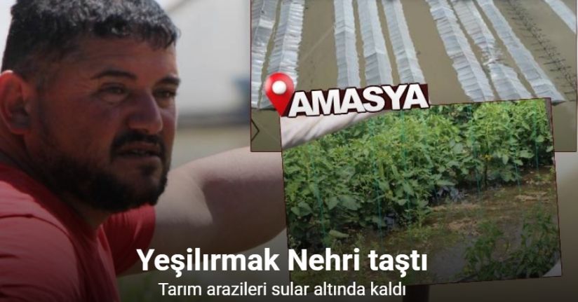 Amasya’da Yeşilırmak Nehri taştı, tarım arazileri sular altında kaldı