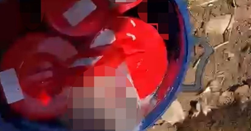 Plastik kutularda 21 cenin bulundu