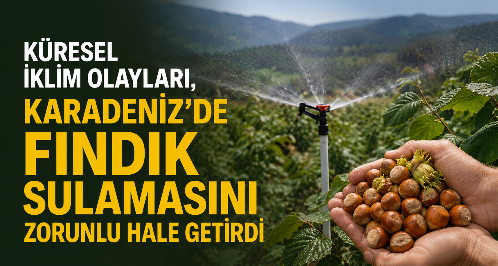 Fındıkta kırmızı alarm