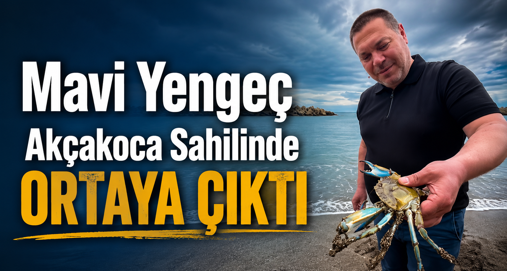 Mavi Yengeç Akçakoca Sahilinde Ortaya Çıktı