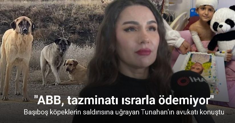 Başıboş köpeklerin saldırısına uğrayan Tunahan’ın avukatı