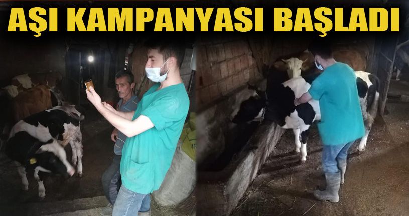 2020 yılı sonbahar şap aşılama kampanyası başladı