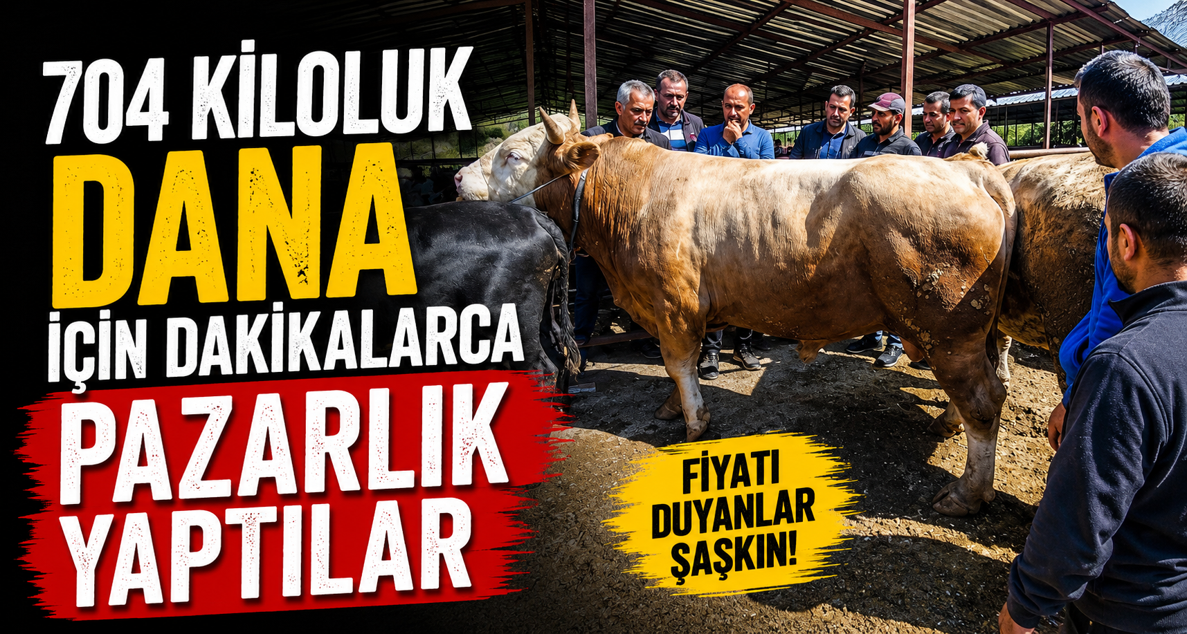 704 kiloluk dana için dakikalarca pazarlık yaptılar