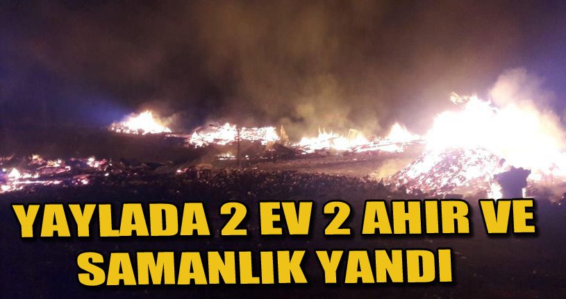 Bolu’da yaylada çıkan yangında 2 ev, 2 ahır ve samanlık yandı