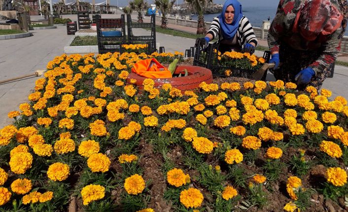 Tatil beldesi Akçakoca'da parklar mevsimlik çiçeklerle süsleniyor