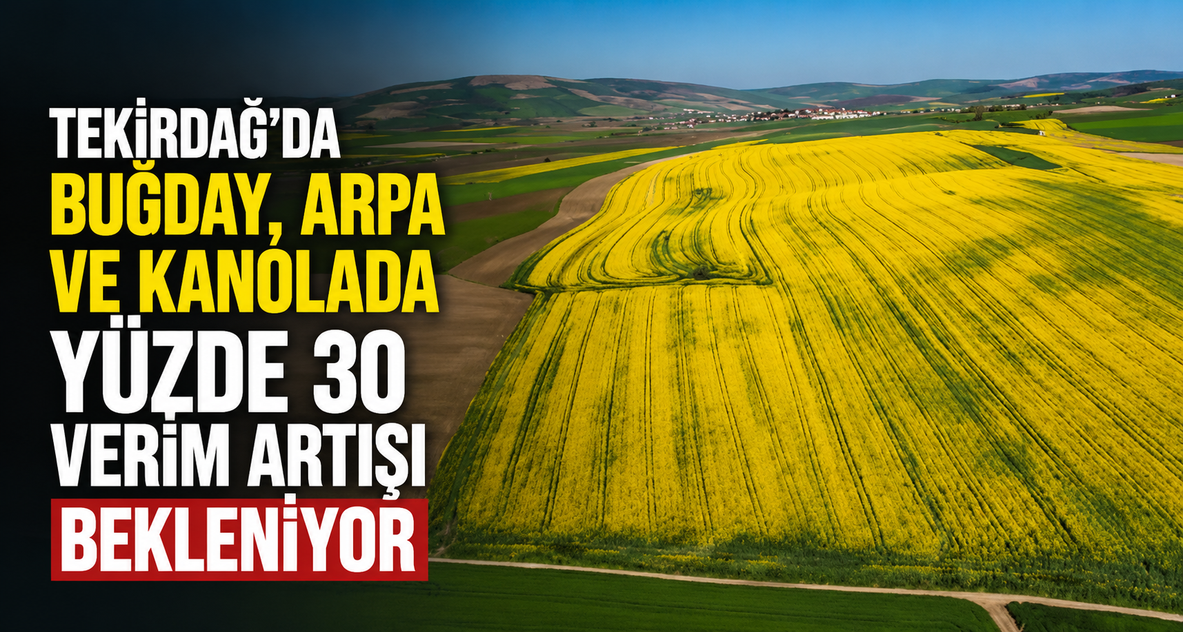 Tekirdağ'da buğday, arpa ve kanolada yüzde 30 verim artışı bekleniyor