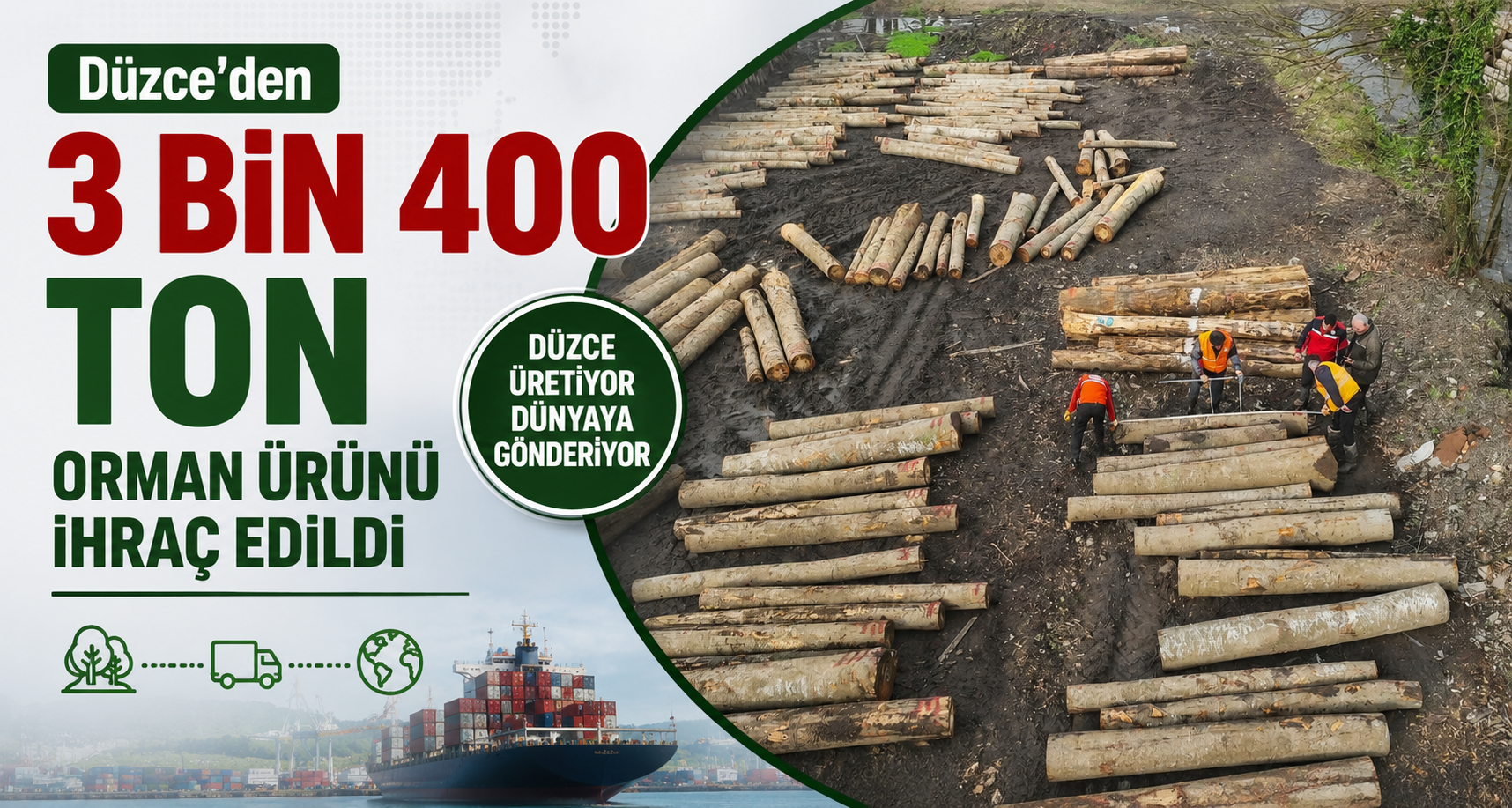 Düzce'den 3 Bin 400 Ton Orman Ürünü İhraç Edildi