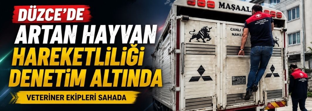 Düzce’de Artan Hayvan Haraketliliği Denetim Altında