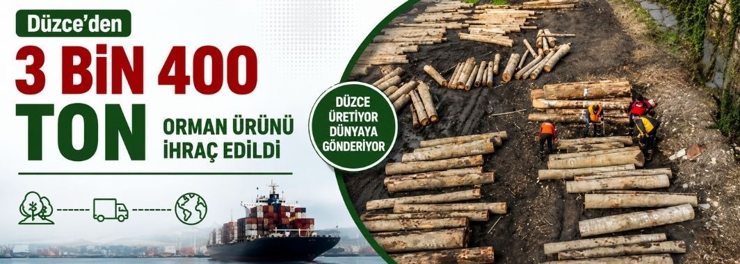 Düzce'den 3 Bin 400 Ton Orman Ürünü İhraç Edildi