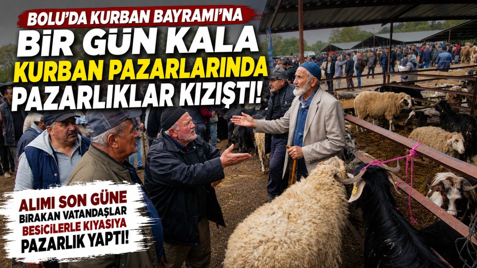 Kurban Bayramı’na saatler kala kurban pazarında pazarlıklar kızıştı