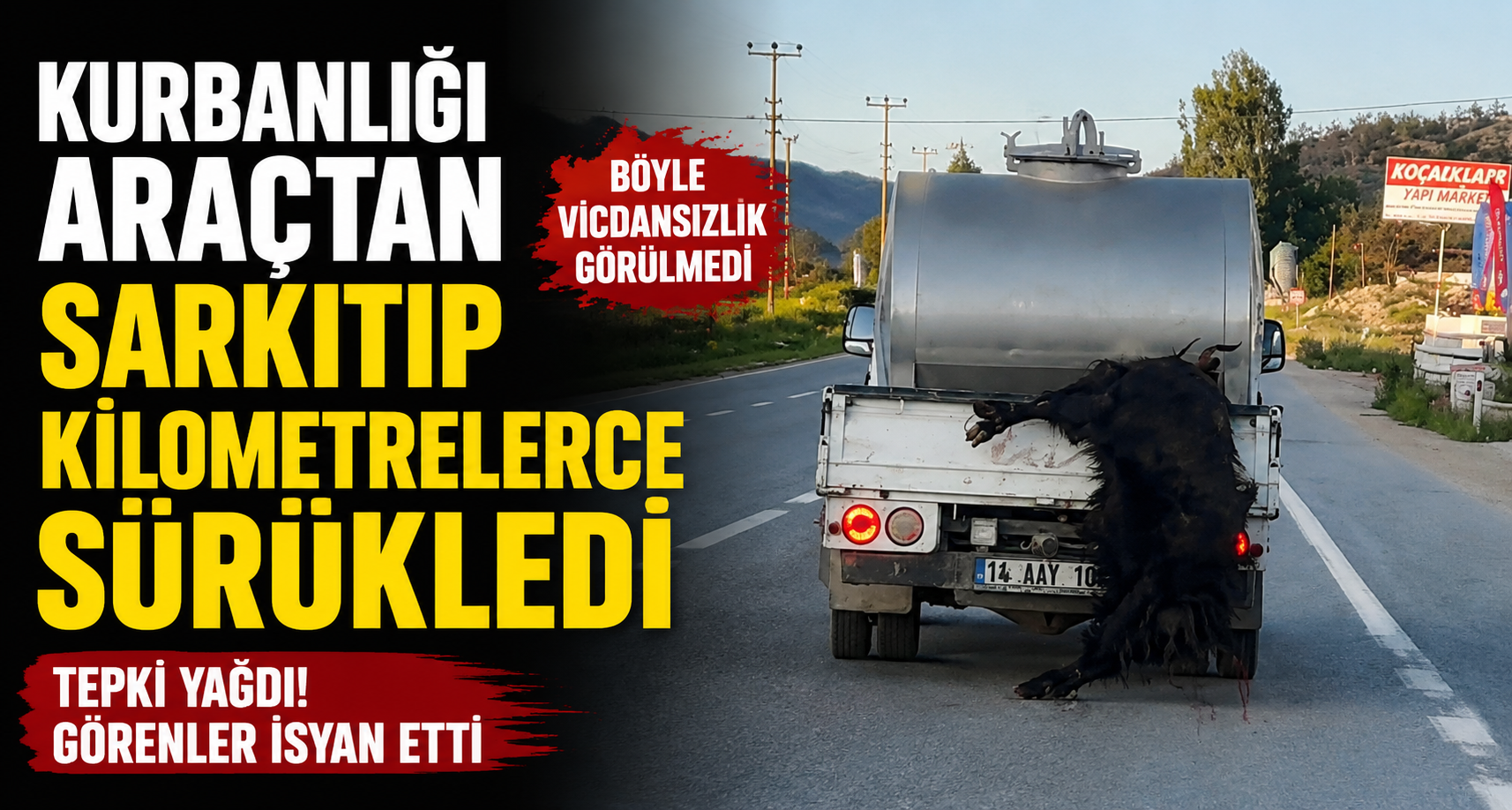 Kurbanlığı araçtan sarkıtıp kilometrelerce sürükledi