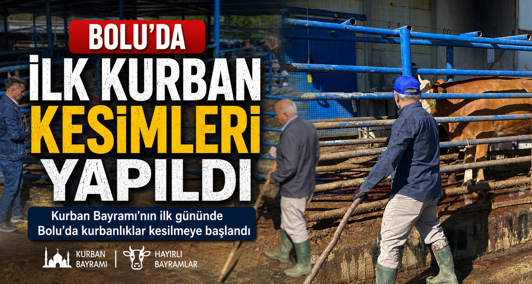 Bolu'da ilk kurban kesimleri yapıldı