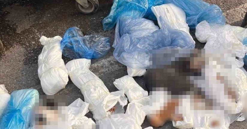 Başsavcılık itiraz etmişti, 33 kediyi öldüren veteriner tutuklandı