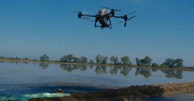 Dron ile çeltik ekimi