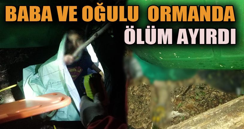 Ormanda çalışmaya giden baba ve oğlunu ölüm ayırdı