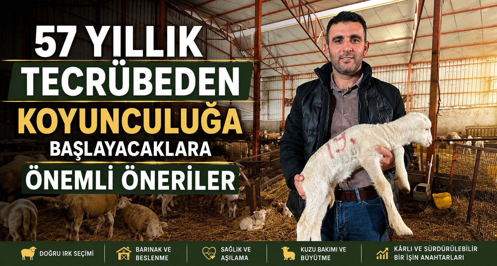 57 yıllık tecrübeden koyunculuğa başlayacaklara önemli öneriler