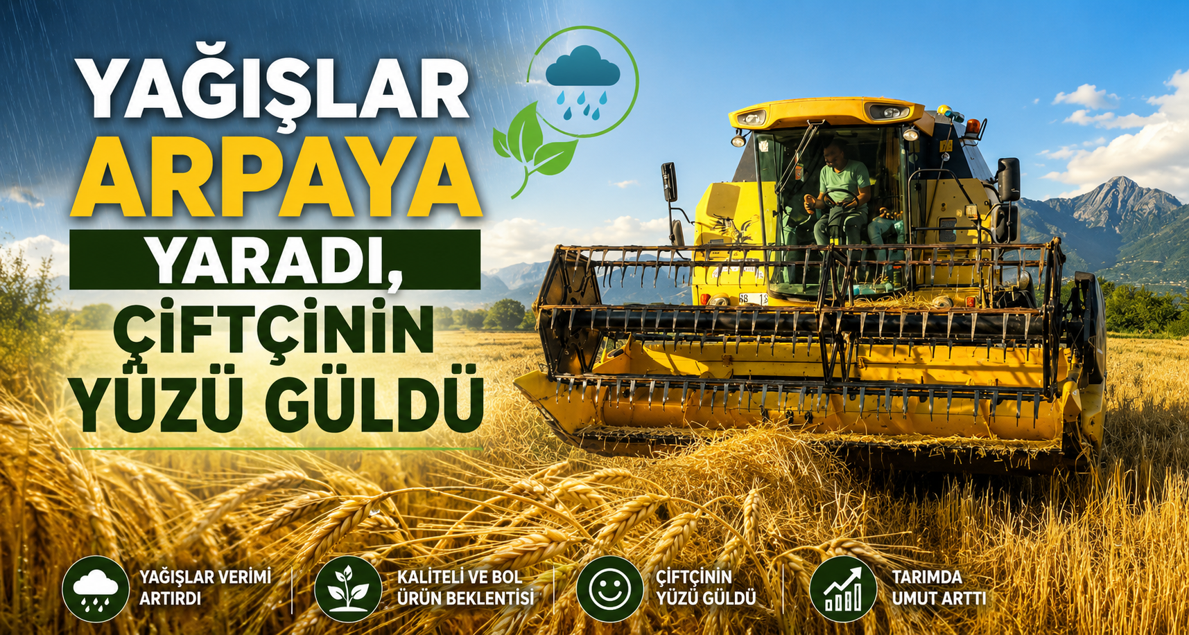 Yağışlar arpaya yaradı, çiftçinin yüzü güldü