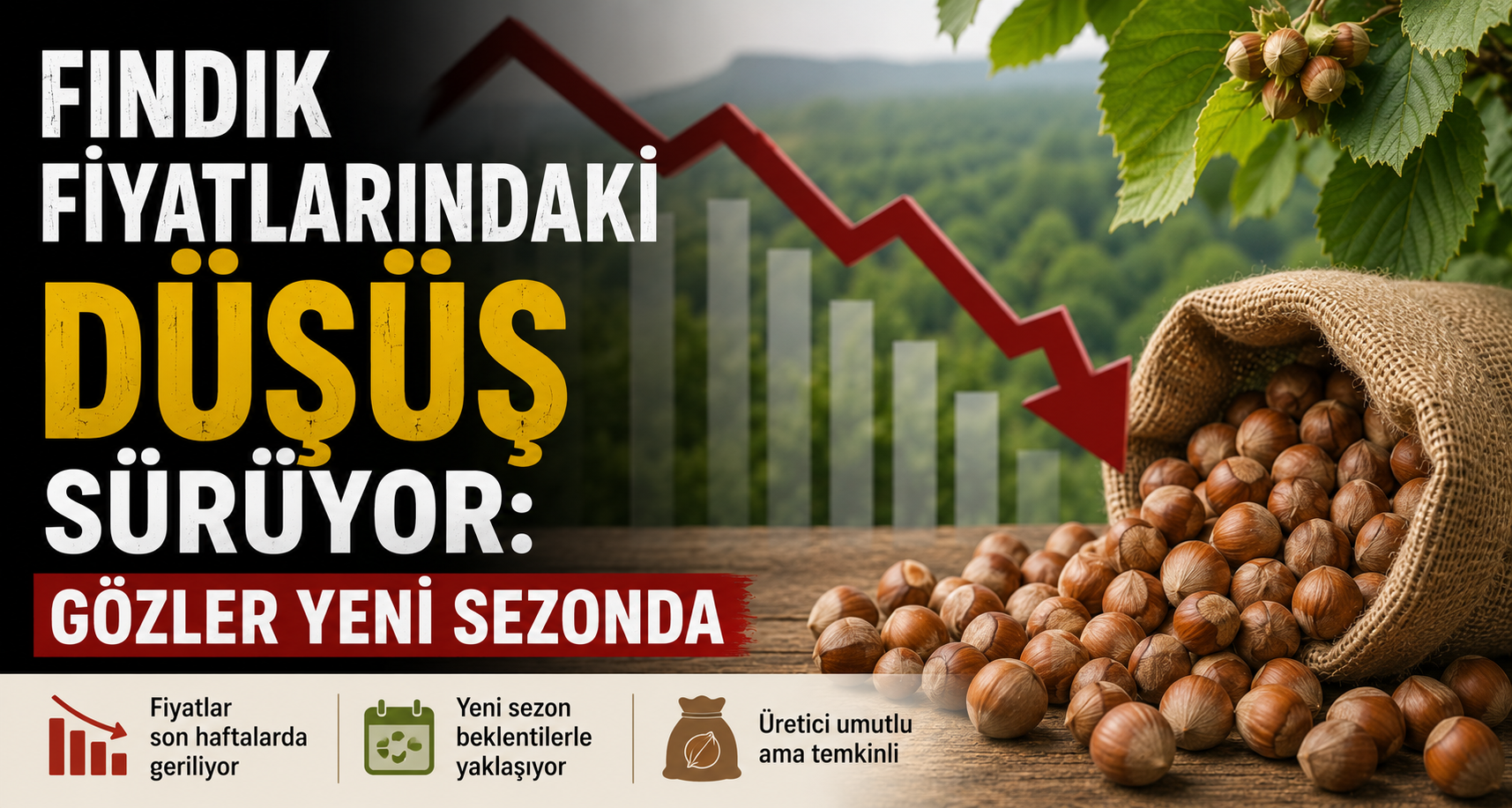 Fındık fiyatlarındaki düşüş sürüyor: Gözler yeni sezonda