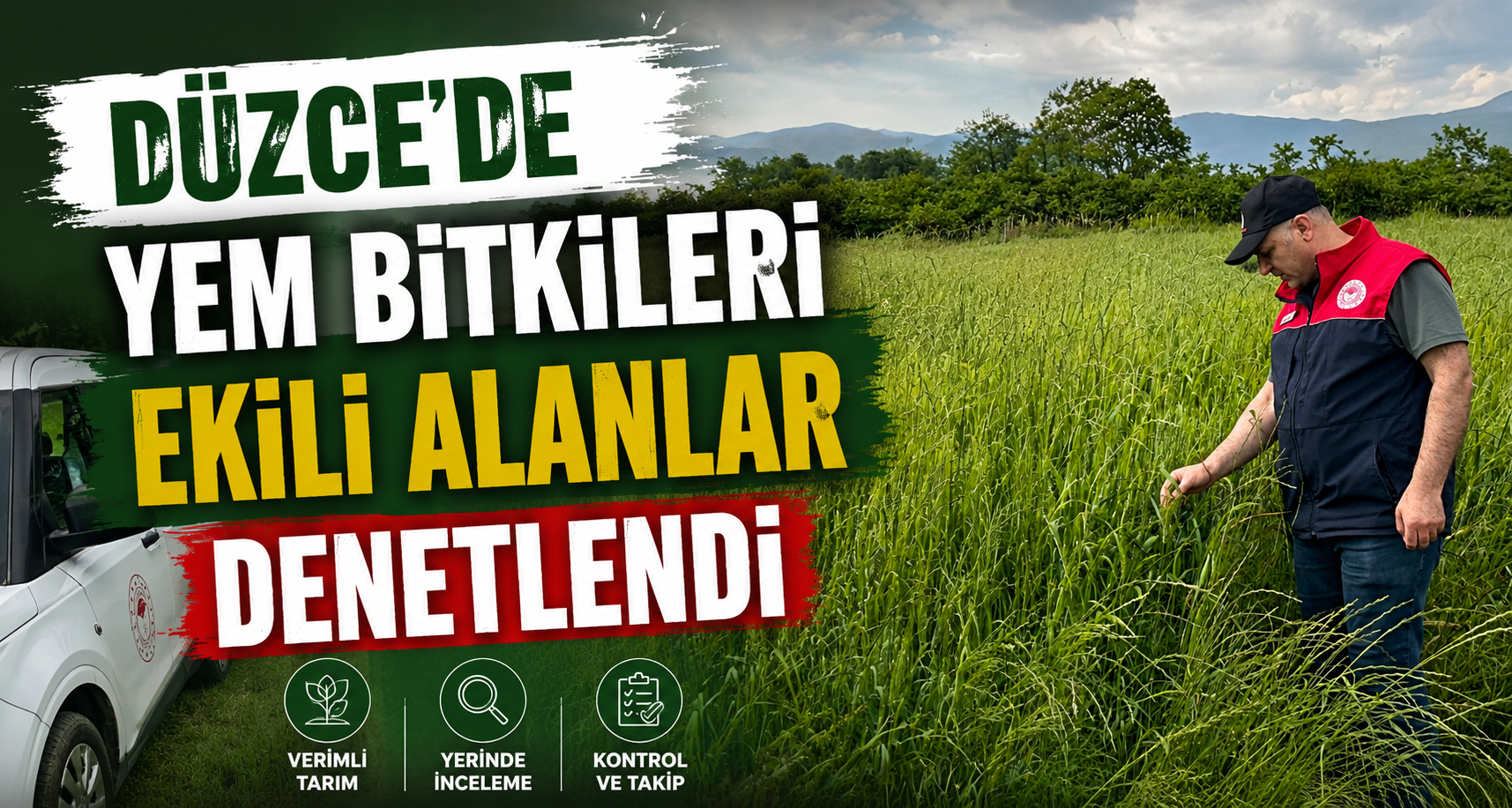 Düzce'de Yem Bitkileri Ekili Alanlar Denetlendi